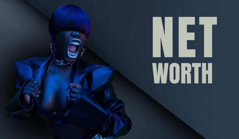 Stylized artistic portrait of a person in bold fashion with text 'NET WORTH' on the side